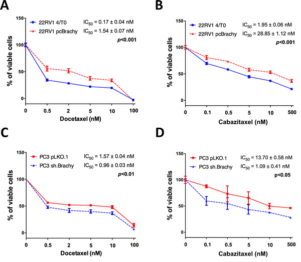 Brachyury promotes resistance to the cytotoxic drugs docetaxel and cabazitaxel.