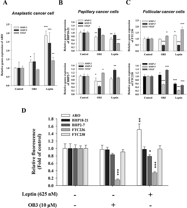 Effect of OB3 and leptin peptides on expression of genes relevant to invasion and cell invasion in thyroid cancer cell lines.