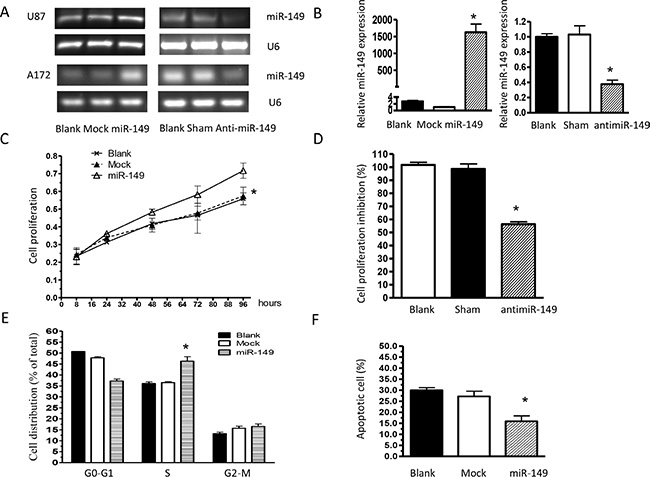 miR-149 stimulates glioma cell growth in vitro.