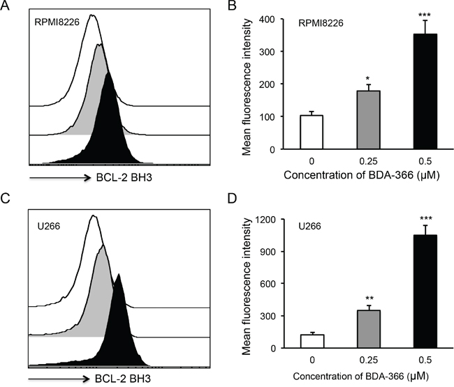 BDA-366 induces BCL2 conformational change in myeloma cell lines.