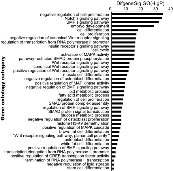 Bioinformatic