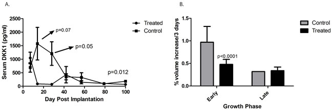 Serum levels of DKK-1 in an osteosarcoma xenograft.