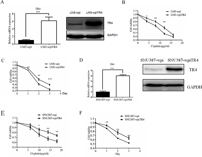 TR4 overexpression led to enhanced chemosensitivity of LM3 and SNU387 cells.