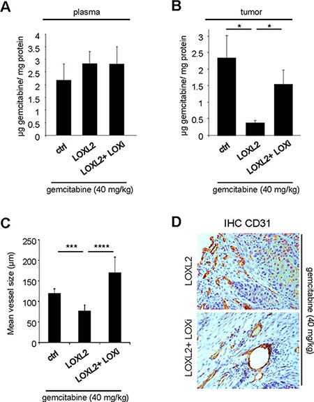 LOX family activity decreases gemcitabine distribution and favors vessels collapse.