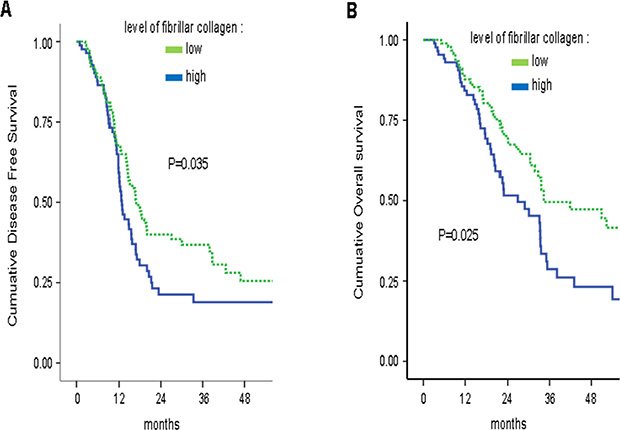 High fibrillar collagen level group displays lower survival during adjuvant gemcitabine-based therapy.