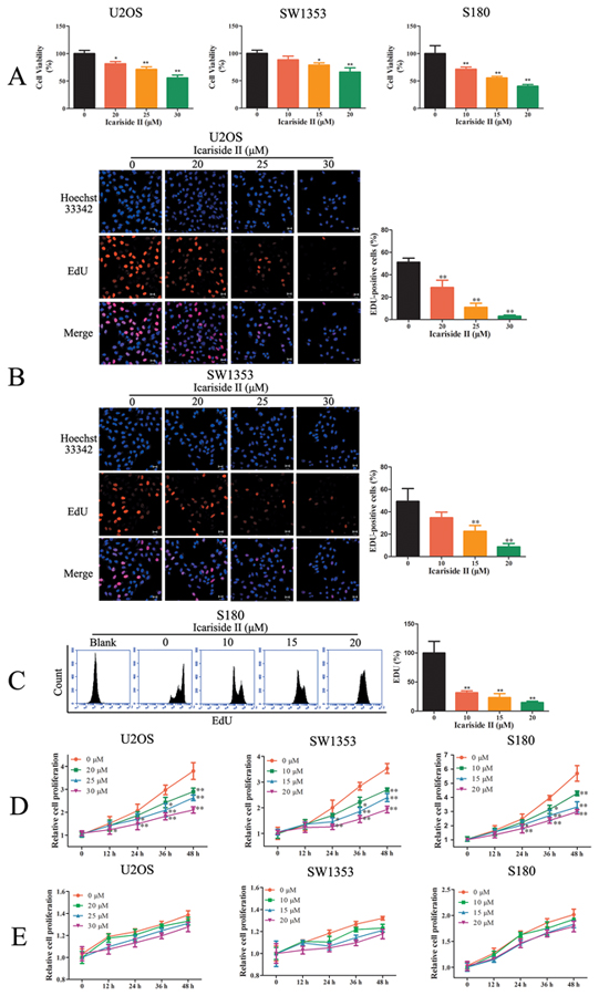 Inhibiting aberrant energy homeostasis contributed to the anti-proliferation effect of IS in sarcoma cells.