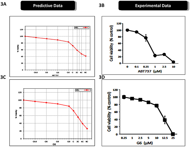Prospective validation of predictive simulations and synergistic interaction between ABT737 and G6.