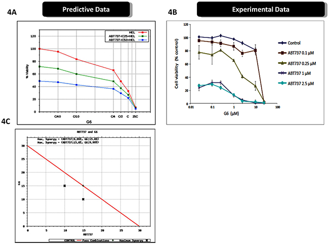 Prospective validation of predictive simulations avatars and synergistic interaction between ABT737 and G6.
