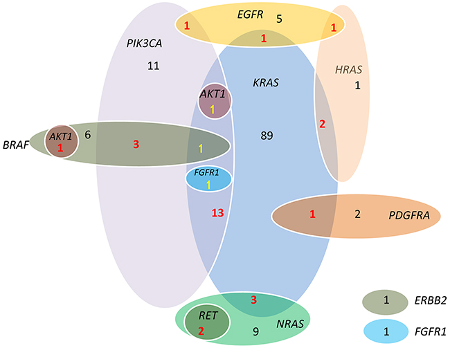 Associations among KRAS, NRAS, HRAS, BRAF, PIK3CA, EGFR, FGFR1, PDGFRA, RET, AKT1 and ERBB2 mutations.