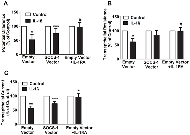 SOCS-1 rescues the IL-1&#x03B2; mediated decrease in PD, TER, and TEC.