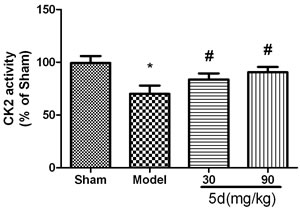 Effects of 5d on CK2 activity in the brains of rats after I/R.