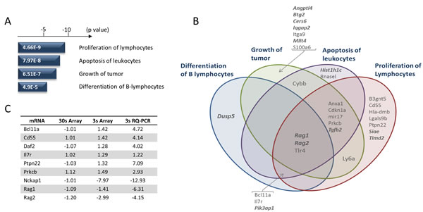 Gene expression changes specific for Runx1 deletion in E