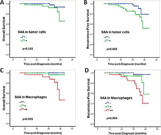 Prognostic significance of SAA expression in breast cancer patients.