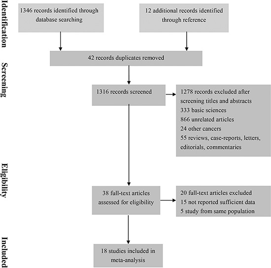 Flow diagram summarizing study identification and selection.