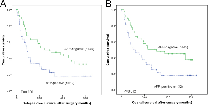 The Kaplan&#x2013;Meier and log-rank survival analysis showed that the AFP producing gastric adenocarcinoma were associated with a poorer relapse-free