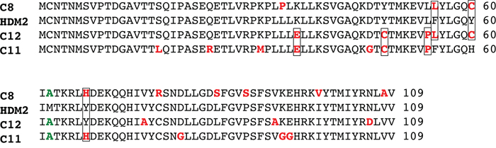 Sequence alignment of selectant HDM2 clones showing PM2 resistance.