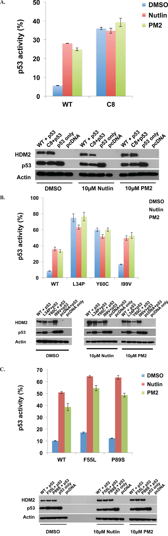 PM2 shows reduced inhibition of selected HDM2 variants in p53/MDM2-null DKO cells.