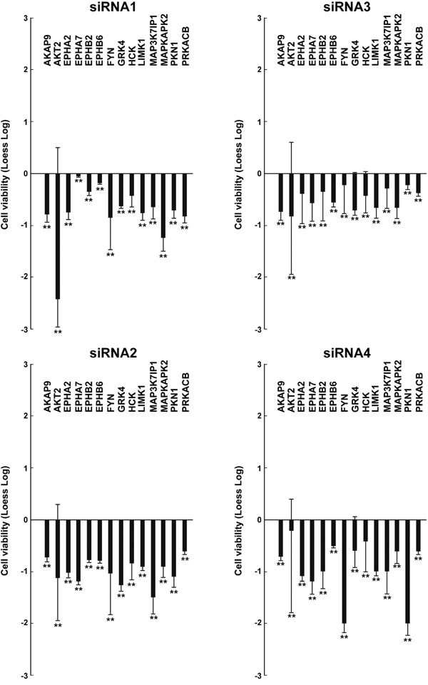 Effects on cell viability of different siRNAs in TPC1 cells.