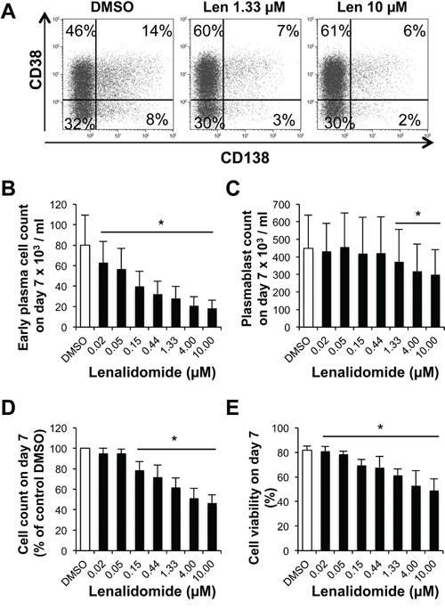Lenalidomide preferentially targets the generation of CD138+ early plasma cells and poorly affects that of plasmablasts in the second step of in vitro B cell differentiation into plasma cells.