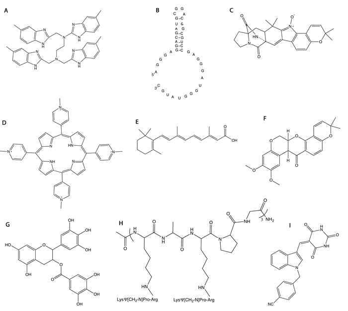 Structures of molecules that target NPM1.