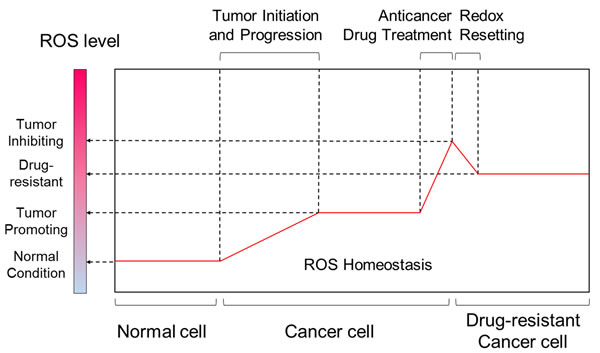 Comparisons of ROS level between different stages of tumor progression and tumor drug-resistance.