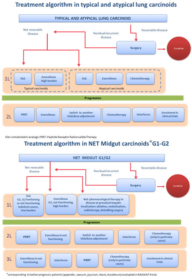Treatment algorithm &#x2013; proposed by the authors &#x2013; for the treatment of lung carcinoids (Panel A) and of midgut G1-2 carcinoids (Panel B) after the publication of the RADIANT-4 trial.
