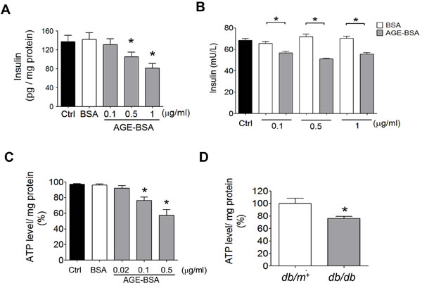 Effects of AGEs on insulin content and ATP production in &#x3b2;-cells.