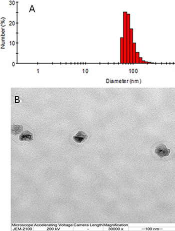 The hydrodynamic diameters by DLS (A) and the TEM image (B) of the BNDQ.