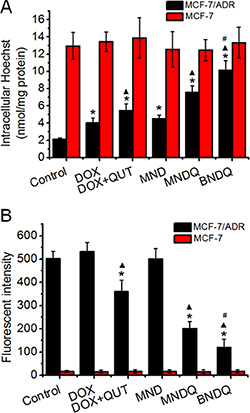 The P-gp activity.