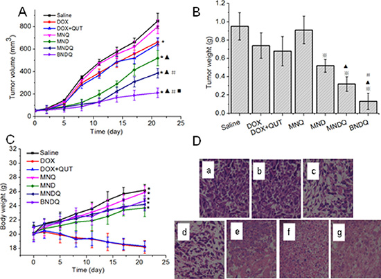 In vivo antitumor effect of DOX, (DOX + QUT), MNQ, MND, MNDQ and BNDQ on nude mice bearing MCF-7/ADR tumors (n = 6).