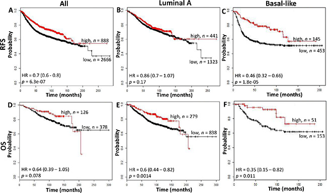 The relation between CD74 and Relapse Free Survival (RFS, top row) and Overall Survival (OS, bottom row) was analyzed in a breast cancer cohort using the kmplotter tool.