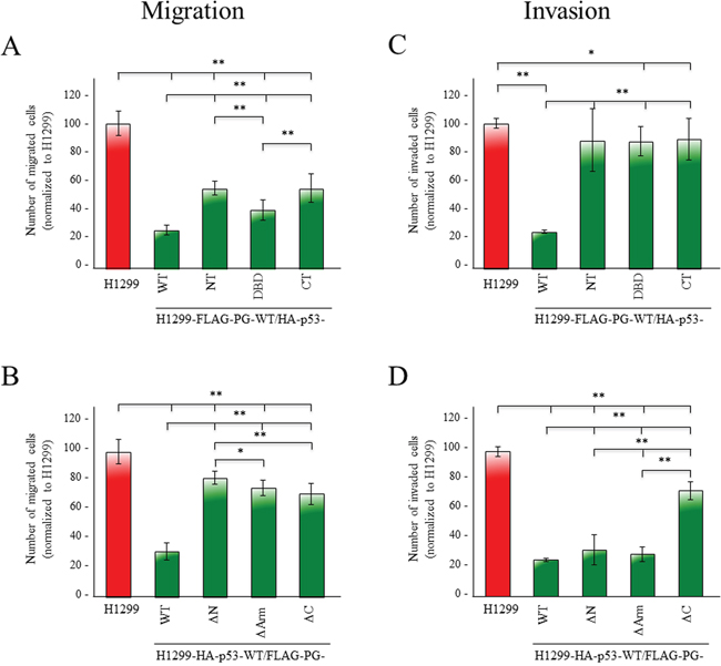 Contribution of various p53 and PG domains to their synergistic inhibition of migration and invasion.