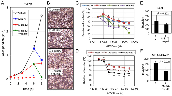 Effects of RECK-activation on the growth/survival of breast cancer cell lines.