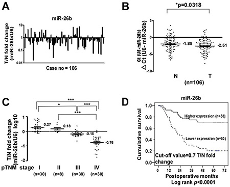 Downregulation of miR-26b in clinical GC tissues is correlated with advanced clinical stage and poor prognosis.