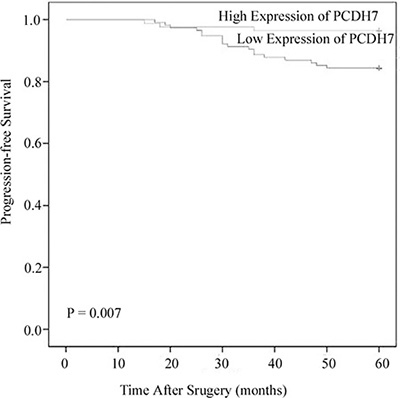 Associations between PCDH7 expression and progression-free survival of NMIBC patients.