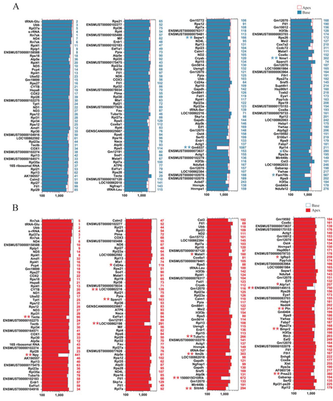 Expression levels of the top 200 genes in ALPs and BLPs.