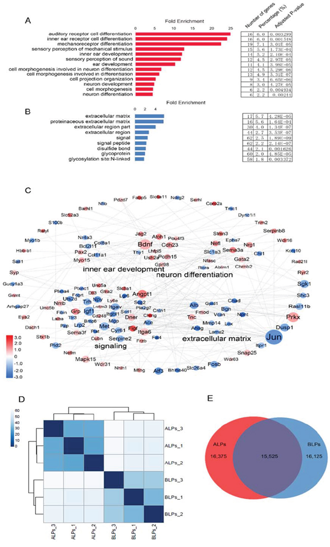 Gene ontology (GO) and network analysis of the genes differentially expressed in ALPs and BLPs, and PCA analysis.