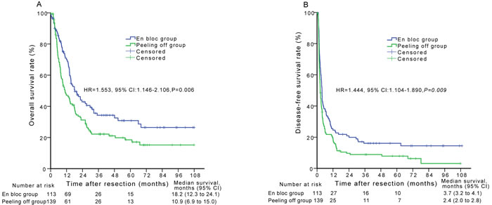 Overall survival (A) and disease-free survival (B) curves of patients in the en bloc group compared with those in the peeling off group before propensity score matching analysis.