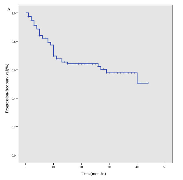 Survival curves for 117 ENKTL patients treated using the P-gemox regimen.