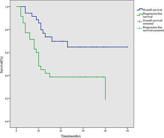 Survival curves for 35 ENKTL patients treated with the P-gemox regimen.