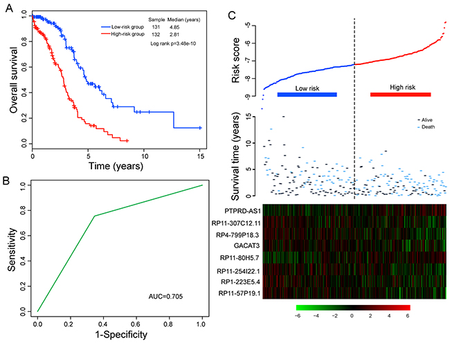 Association between the eight-lncRNA expression signature and overall survival of patients in the training cohort.