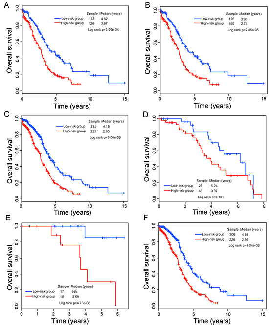 Survival prediction in TCGA patients stratified by age, grade and stage.