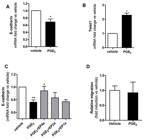 PGE2 induced EMT and migration of HT29 cells.