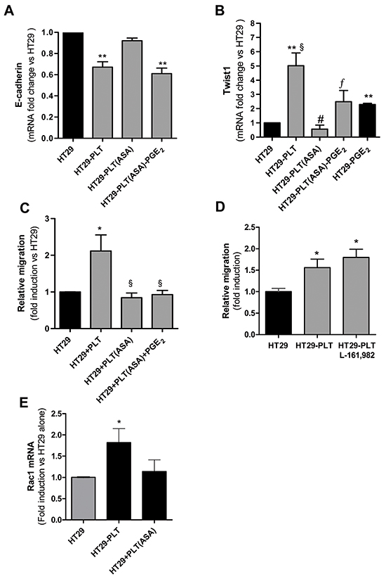 Effects of exogenous PGE2 on the inhibitory effect of aspirin on EMT and migration of HT29 cells exposed to platelets.