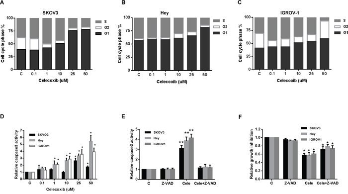 Celecoxib induced cell cycle G1 arrest and apoptosis in ovarian cancer cells lines.