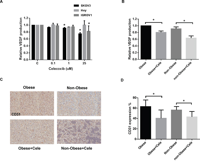 Celecoxib inhibited angiogenesis in vitro and in vivo.
