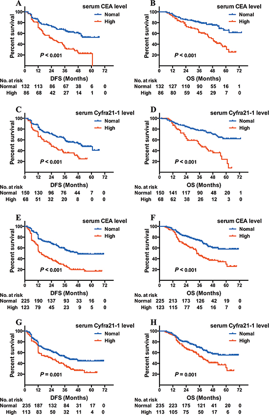 Kaplan-Meier survival curves of DFS and OS based on CEA/Cyfra21-1 levels in EGFR-mutated or wild-type adenocarcinoma patients.