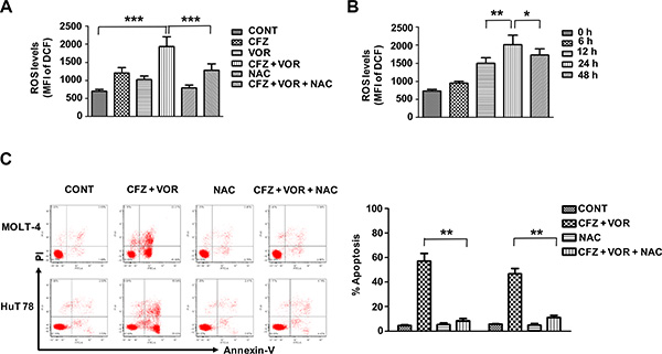 Combination treatment of carfilzomib and vorinostat induced ROS generation and induced apoptosis by the combination treatment is blocked by the ROS inhibitor.