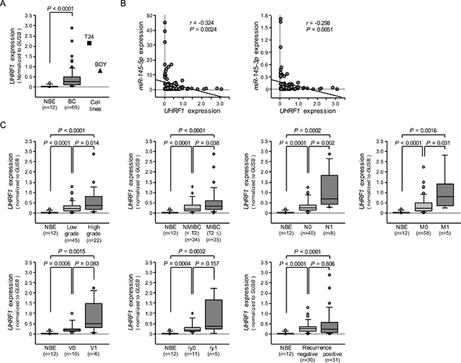 The expression level of UHRF1 mRNA in BC clinical specimens and cell lines, and association of UHRF1 expression with clinicopathological parameters.