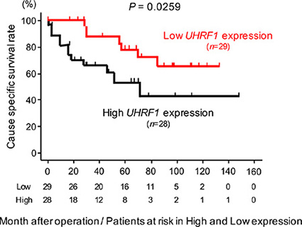 The association between the expression level of UHRF1 and cause specific survival rate.